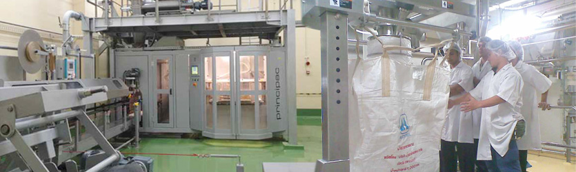 Packaging & Palletizing System